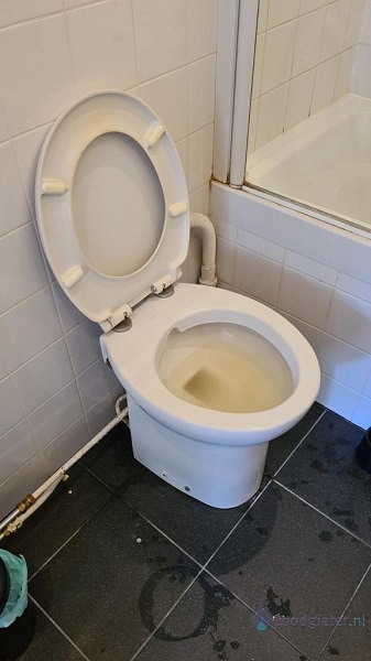  verstopping toilet Roelofarendsveen
